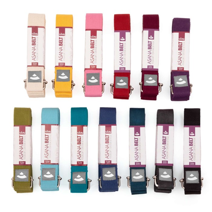 910x_alle-Farben_yoga_meditation_pilates_Yogagurt_asana_belt_schniebeschnalle_Sammelbild_above_1.jpg
